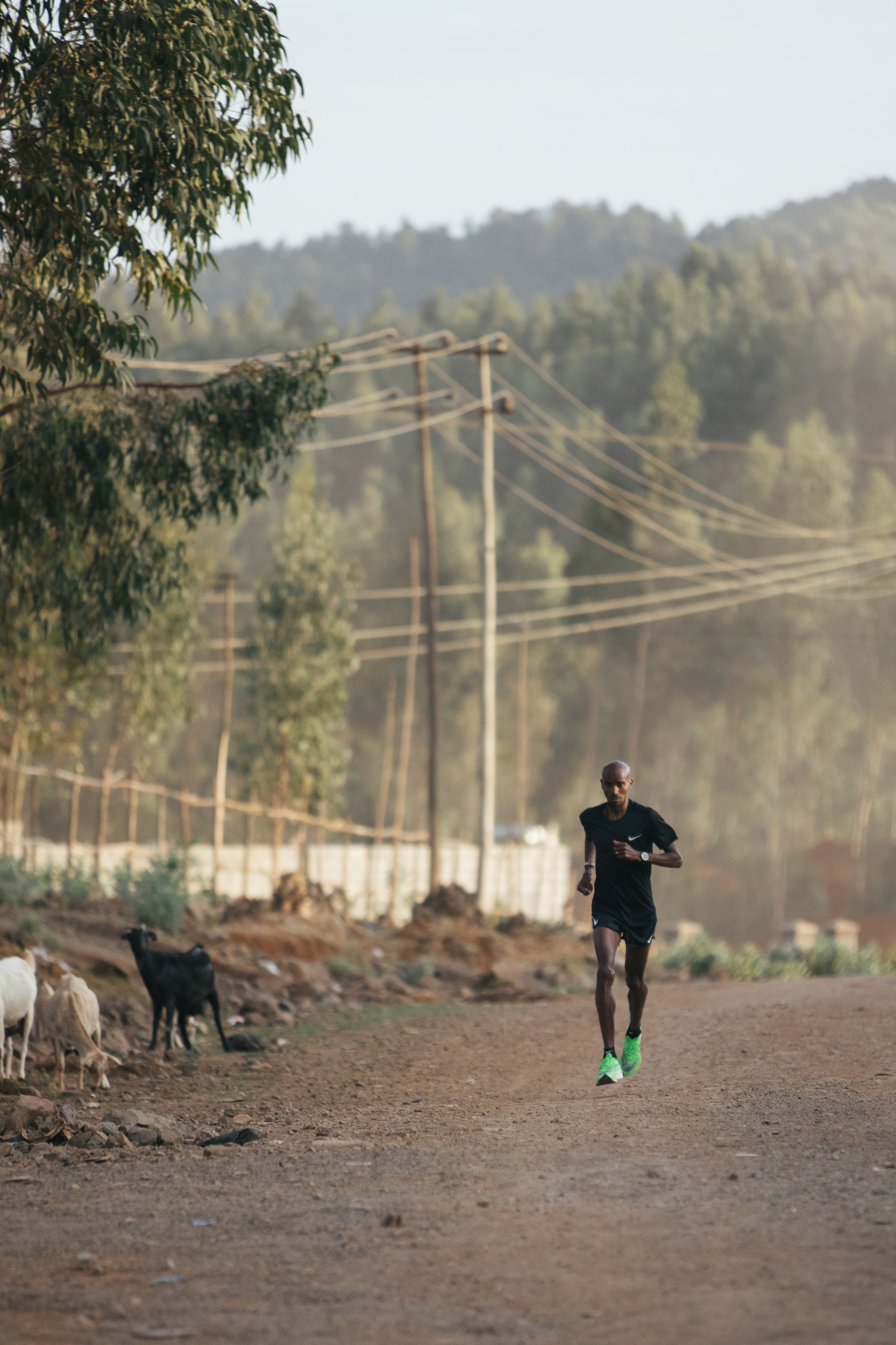 NIKE+MO FARAH+ HARRY HALL | Fresh Film